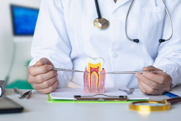 Best Emergency Dental Services for Seniors in Stratford, TX